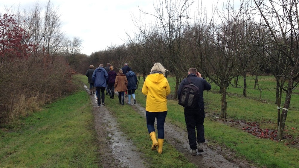 Into the woods - Coppicing